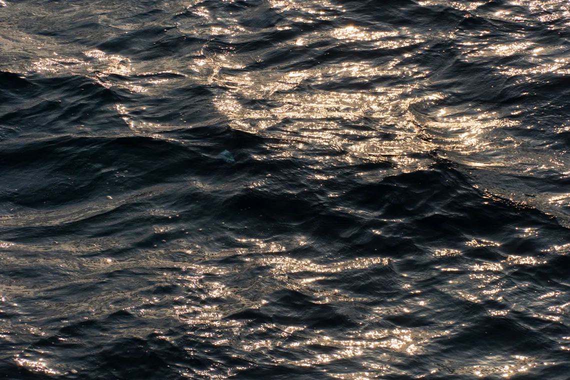 Sokcho-si | 2026-01-14