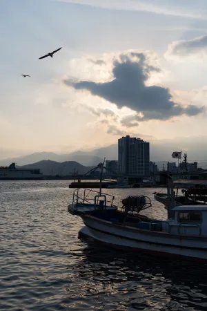 Sokcho-si | 2026-01-14
